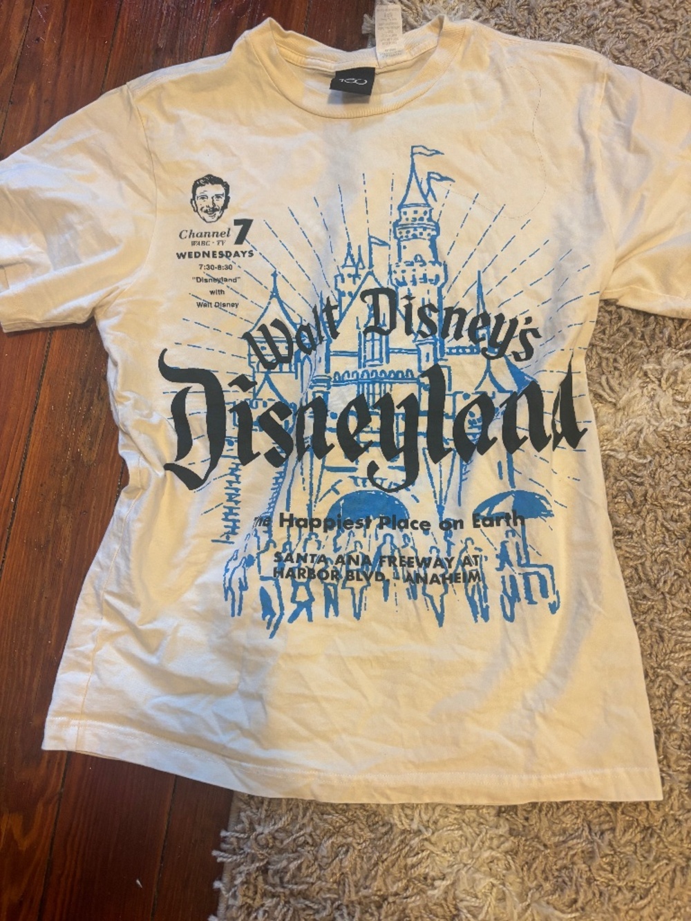 Disney 100 T shirt